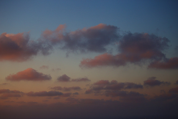 CCDF2AB5-1FB7-43AD-A921-449C25993DBA.JPG