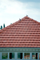 Red tiles of the Shrine of Baha'u'llah.