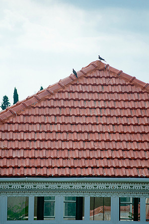 Red tiles of the Shrine of Baha'u'llah.