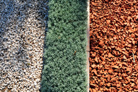 white, green and red