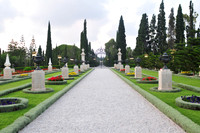 the path